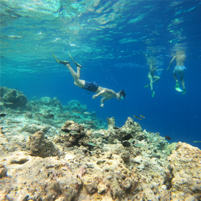 snorkel